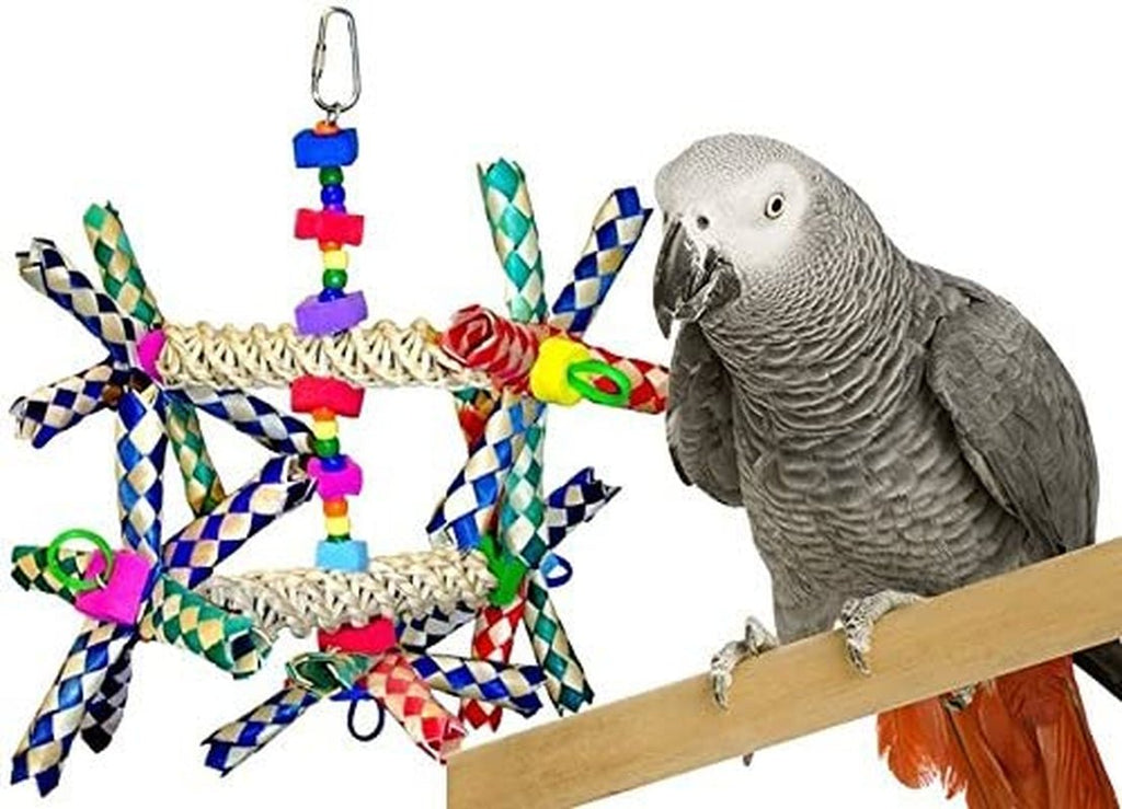 Wide Parrot Toy