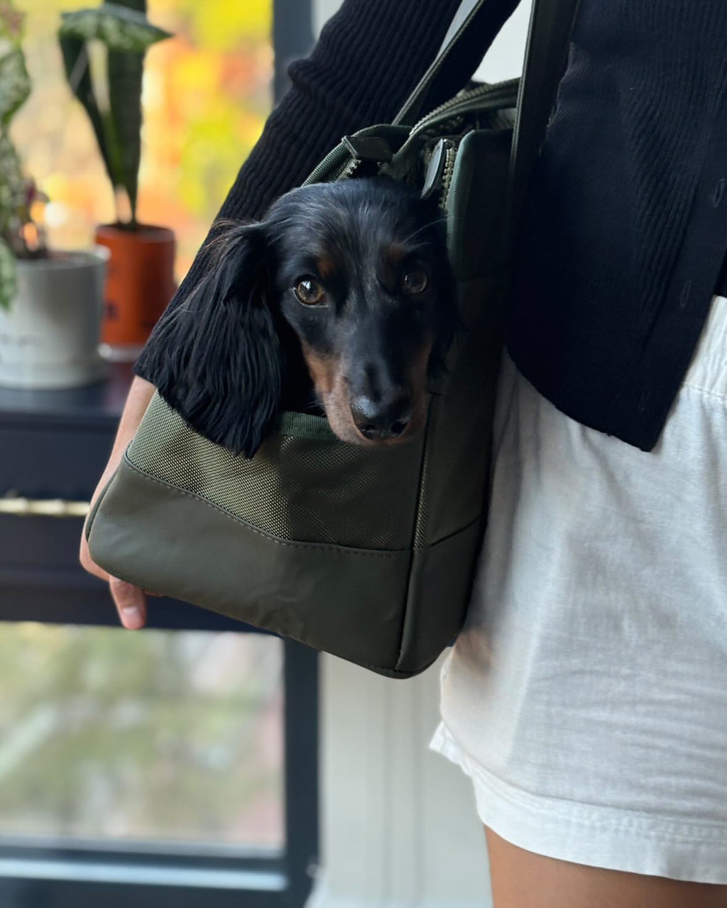 Olive Green Pet Tote Bag