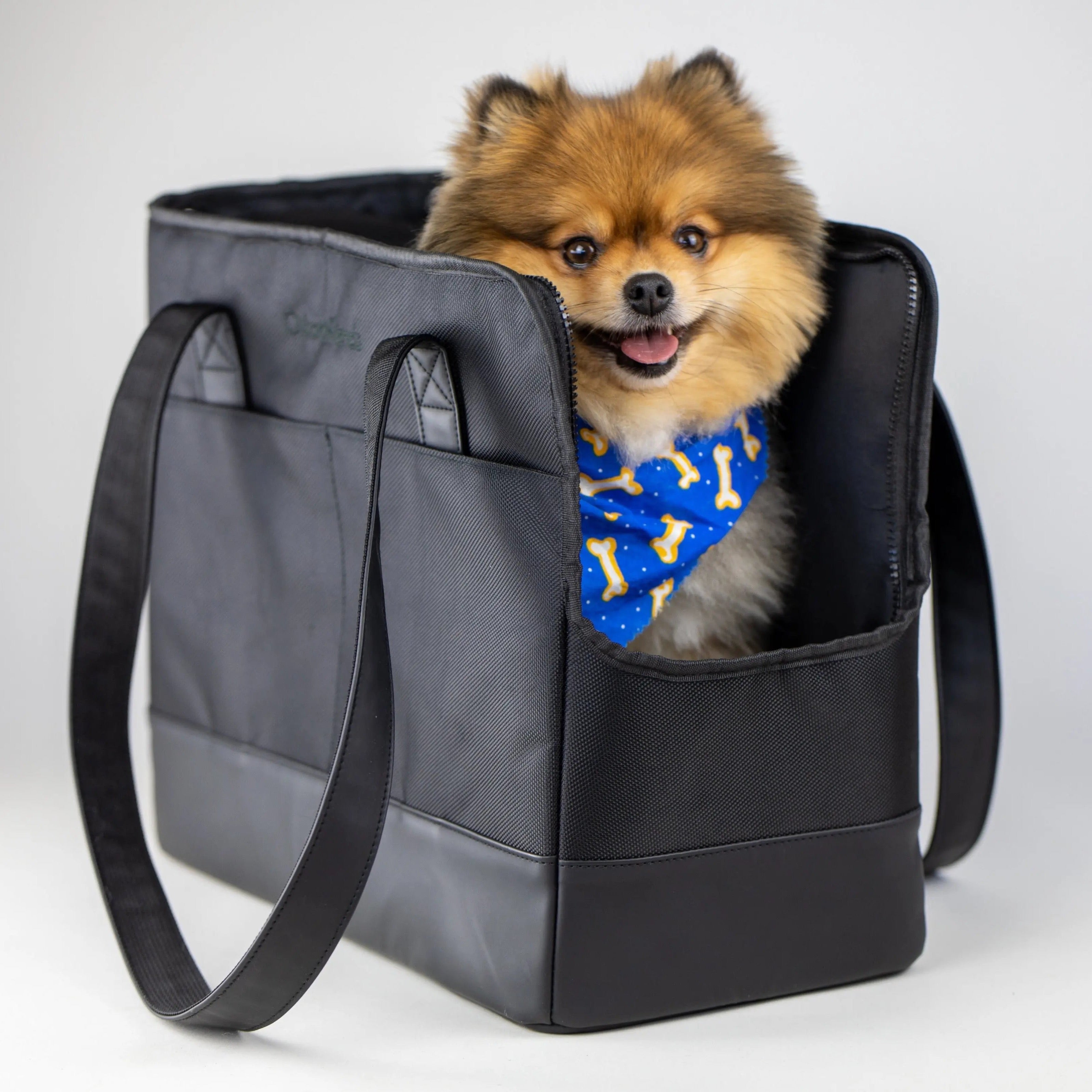 All-Black Pet Tote bag