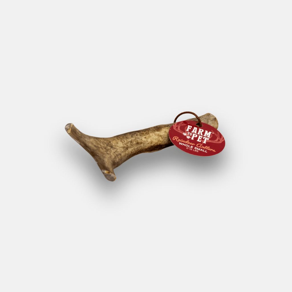 Reindeer Antler Dog Chews | Organic Chews for Dogs