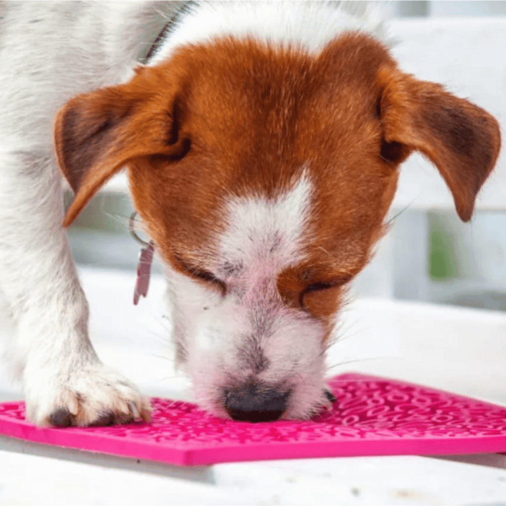 Lick Mats for Cats and Small Dogs
