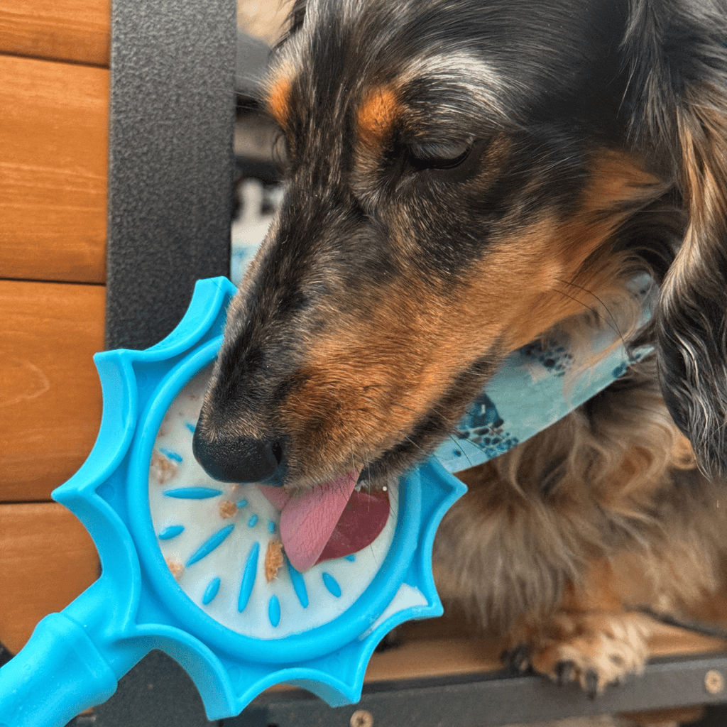 Lick Sticks | Interactive Dog Training Toy