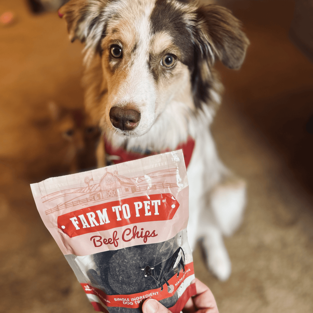 Puppy Packs 'n Snacks Dog Treat Starter Pack | Single-Ingredient Training Treats
