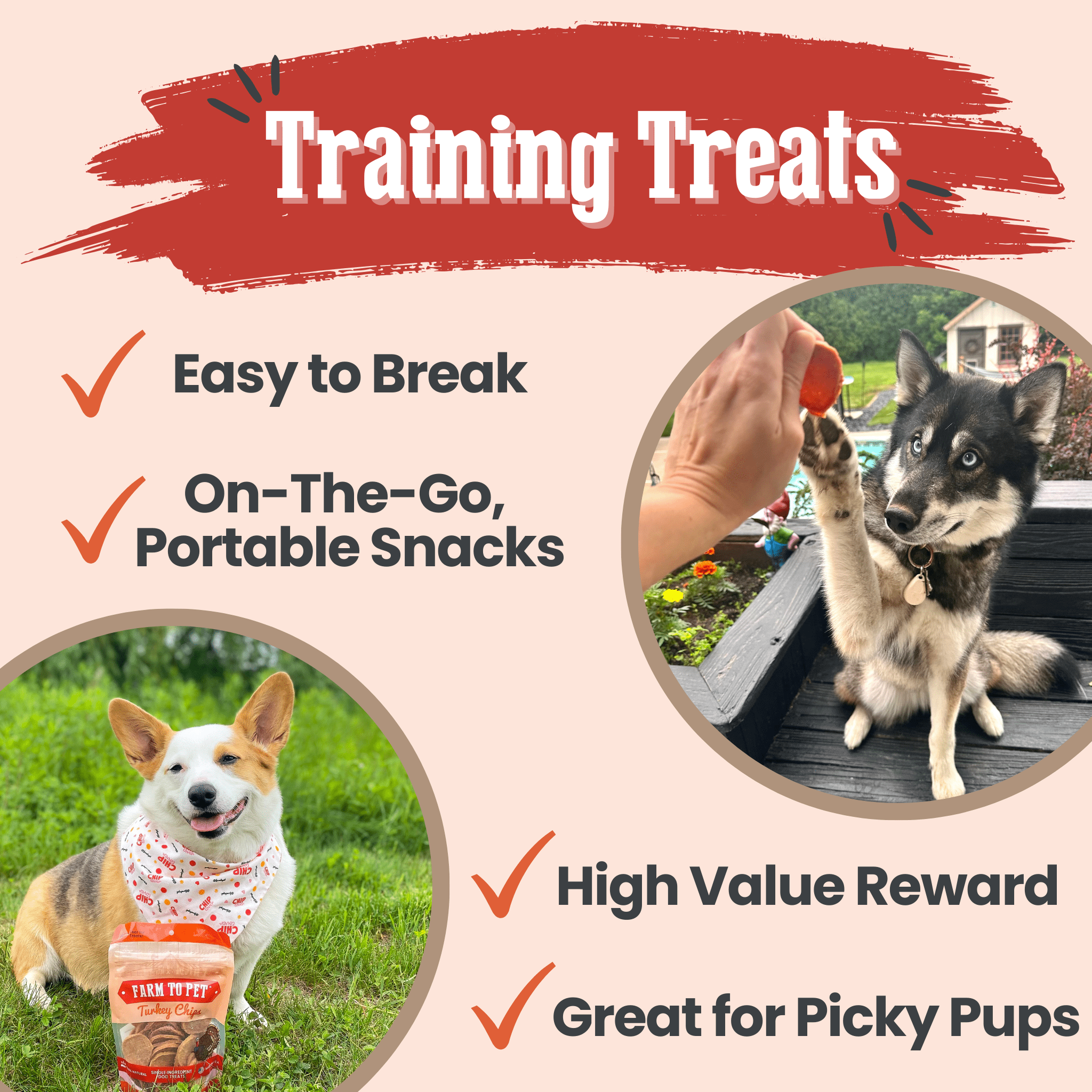 Turkey Chips for Dogs | All-Natural Single-Ingredient Healthy Dog Treats