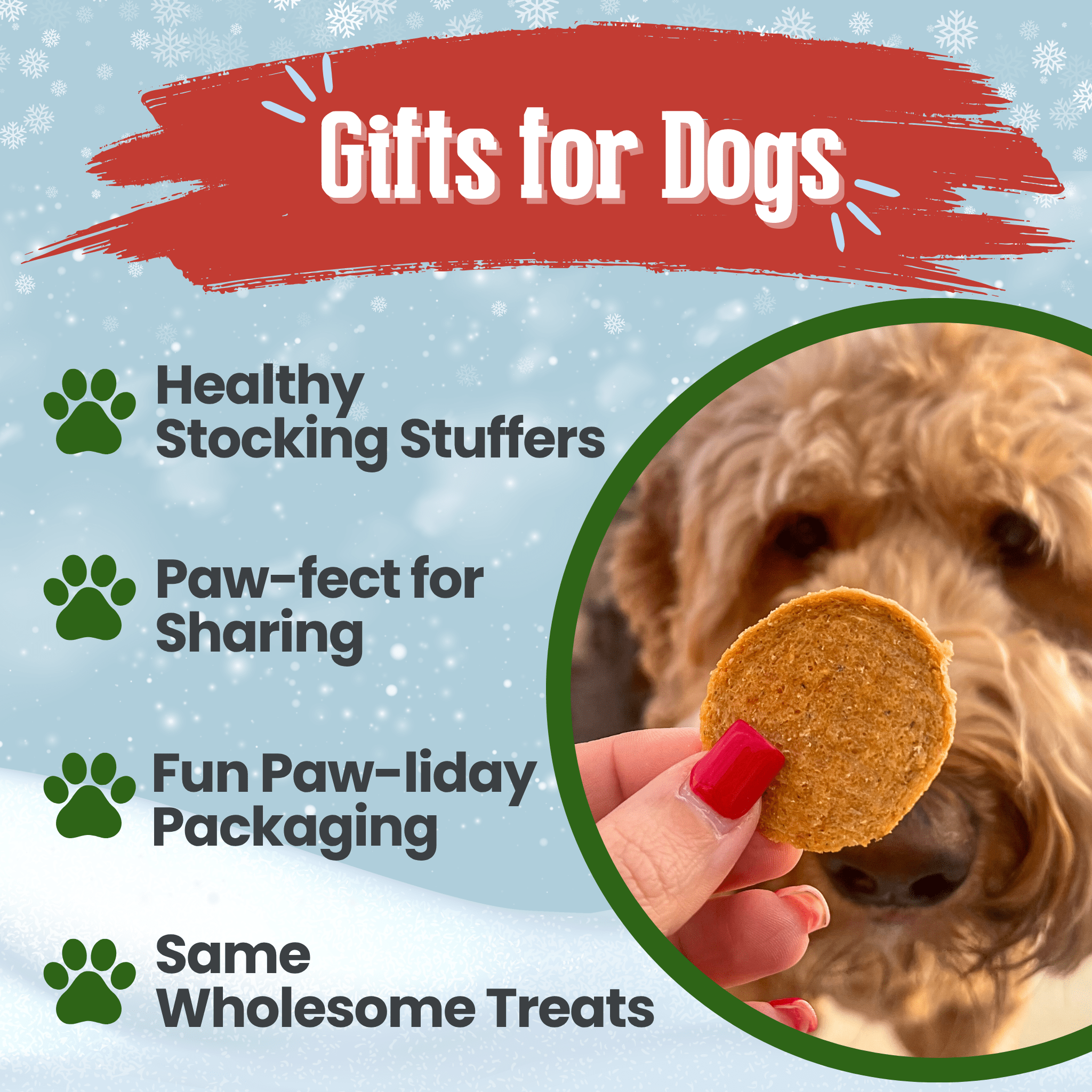 Holiday Chips Dog Treats - Beef & Fish 4oz