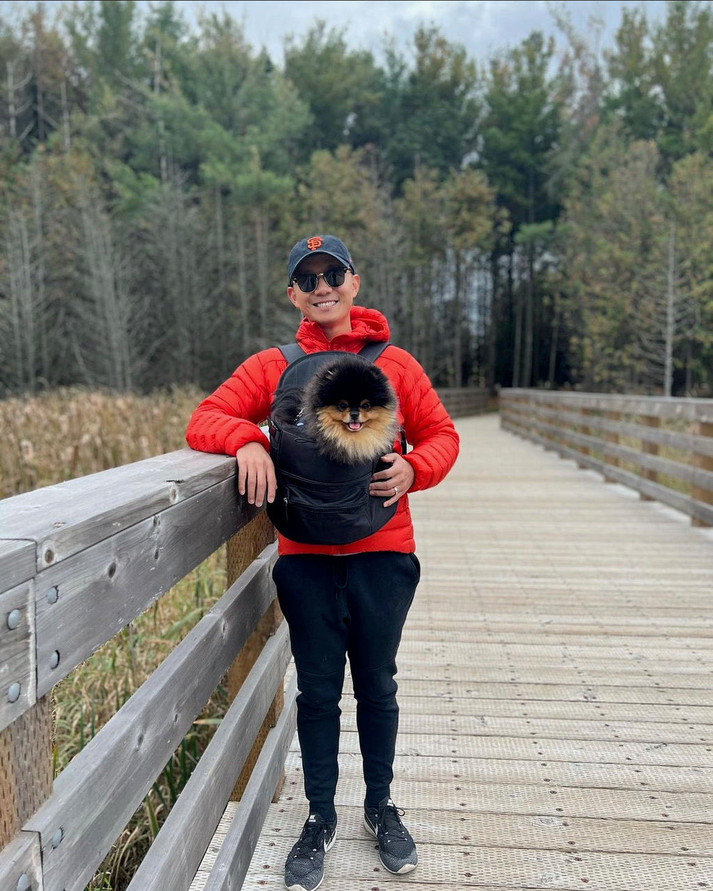 Premium All-Black Pet Backpack