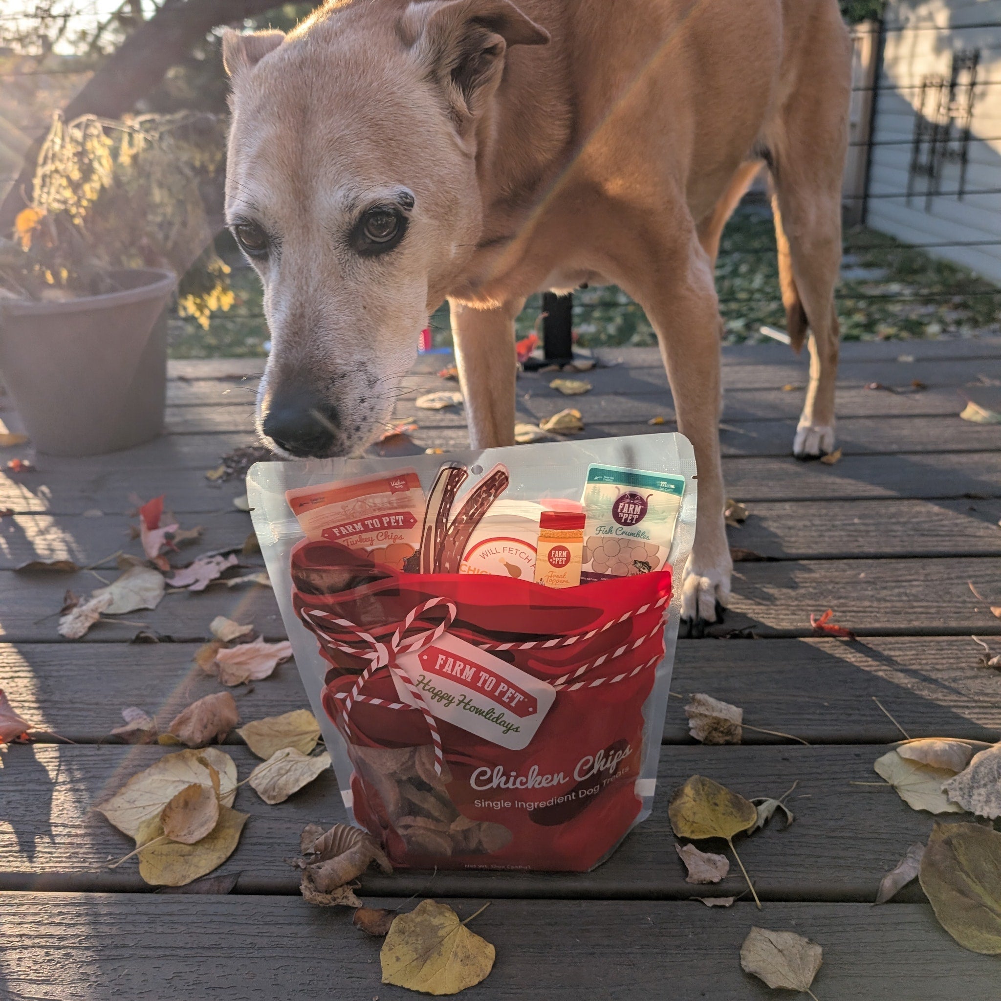Santa Paws' Chicken Chips Gift Sack