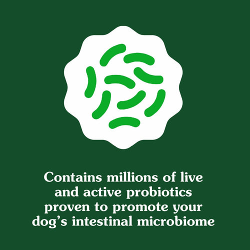 BestBy01/25 Greenies Digestive Health Probiotics DogTreats Chicken 7.8oz 40ct