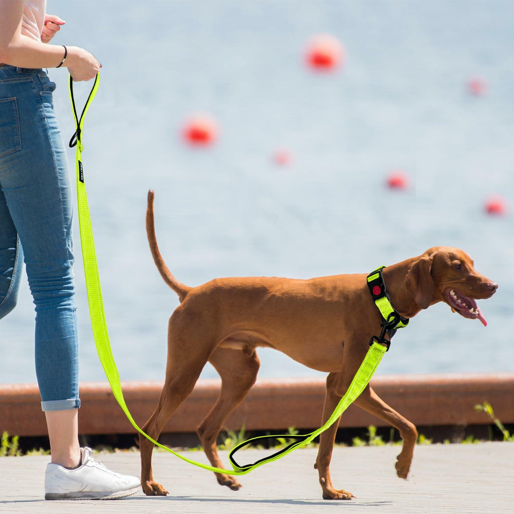 Htnlbqy Dog Leash Large Nylon Reinforced Reflective 5FT Bright Green