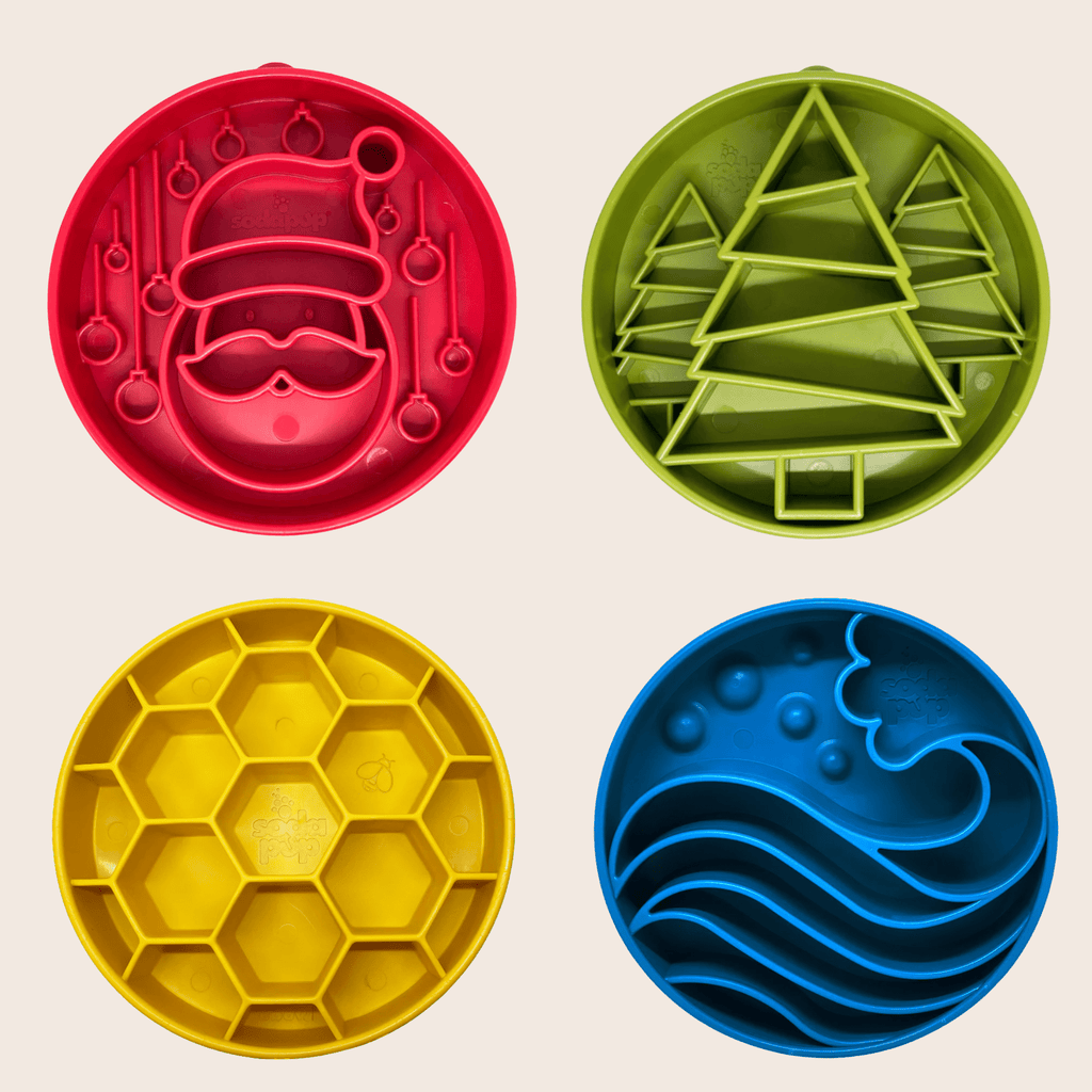 Slow Feeder Dog Bowls